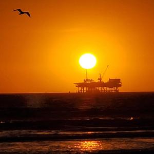 av福利永久免费在线观看
