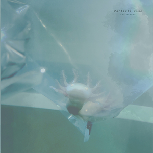 av福利永久免费在线观看
